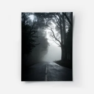 poster route brumeuse entre arbres.webp