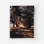 poster route de campagne.webp