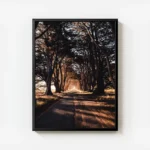 poster route de campagne avec cadre.webp