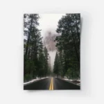 poster route de foret.webp