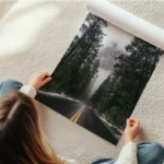 poster route de foret en rouleau.webp