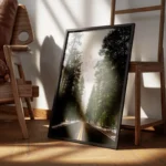 poster route de foret encadre.webp