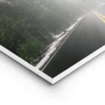 poster route de foret lightpanel.webp