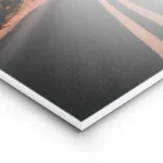 poster route desertique rouge lightpanel.webp