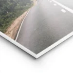 poster route entre arbres lightpanel.webp