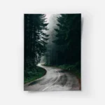 poster route sinueuse dans la foret.webp