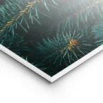 poster sapin avec cones de pin lightpanel.webp