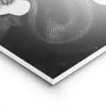 poster serpent noir et fleurs lightpanel.webp