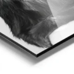 poster singe amusant avec rouleau de papier aluminium.webp