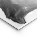 poster singe amusant avec rouleau de papier lightpanel.webp