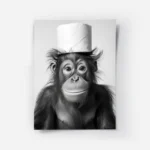 poster singe avec chapeau.webp