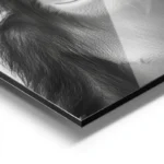 poster singe avec chapeau aluminium.webp