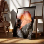 poster sommet montagne ensoleille encadre.webp