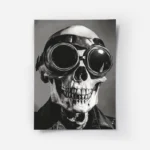 poster squelette pilote vintage.webp