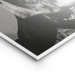 poster squelette pilote vintage lightpanel.webp