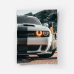 poster srt.webp