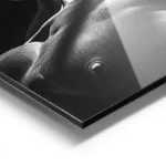 poster statue de david en noir et blanc aluminium.webp