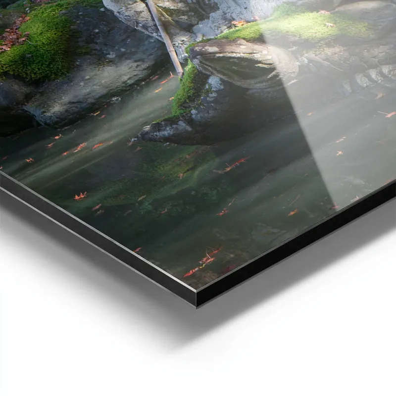Image galerie 9