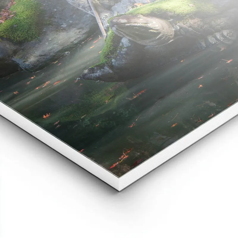 Image galerie 8