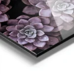 poster succulentes violettes aluminium.webp