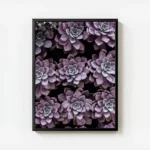 poster succulentes violettes avec cadre.webp