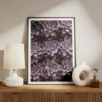 poster succulentes violettes meuble.webp