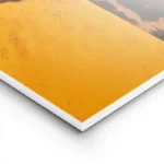 poster tete de girafe sur fond orange lightpanel.webp