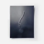 poster tige de plante minimaliste.webp