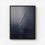 poster tige de plante minimaliste avec cadre.webp