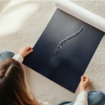 poster tige de plante minimaliste en rouleau.webp