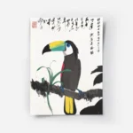 poster toucan colore.webp
