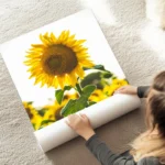poster tournesol lumineux au sol.webp