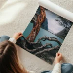 poster troncs d arbre au bord de l eau en rouleau.webp