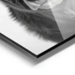 poster vache drole avec chapeau aluminium.webp