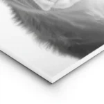 poster vache drole avec chapeau lightpanel.webp