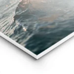 poster vague plage lightpanel.webp