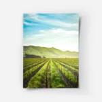 poster vignobles ensoleilles.webp