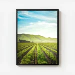 poster vignobles ensoleilles avec cadre.webp