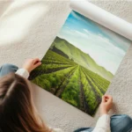 poster vignobles ensoleilles en rouleau.webp