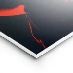 poster visage afro sur fond rouge lightpanel.webp