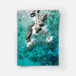 poster vue aerienne eau turquoise.webp