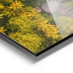 poster vue aerienne plage et nature aluminium.webp