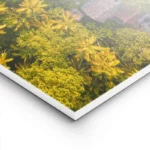 poster vue aerienne plage et nature lightpanel.webp
