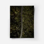 poster vue aerienne route.webp