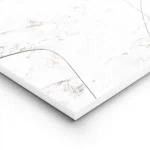 affiche abstraite beige et blanc avec des formes organiques et des lignes noires lightpanel.webp