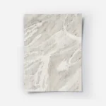 affiche abstraite de vagues et de lignes organiques beiges blanches et grises su.webp