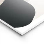 affiche abstraite avec des formes organiques beiges et noires et des lignes fine lightpanel.webp