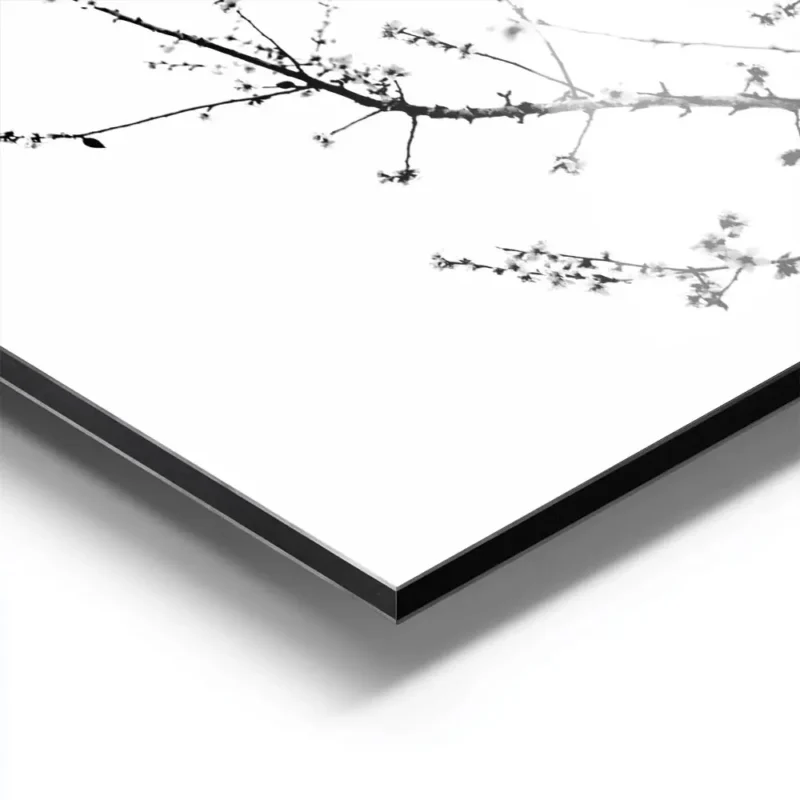affiche abstraite avec un soleil dore et des branches darbuste noires typographi aluminium.webp