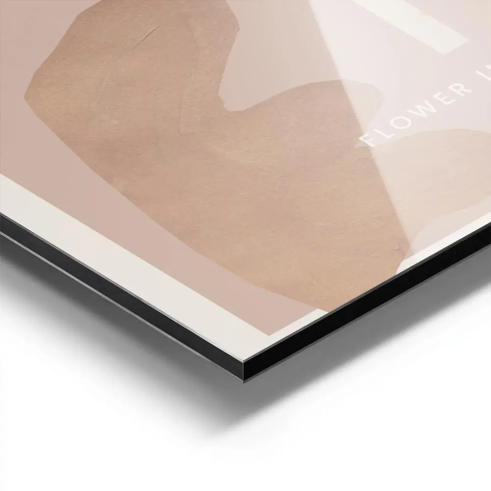 Image galerie 9