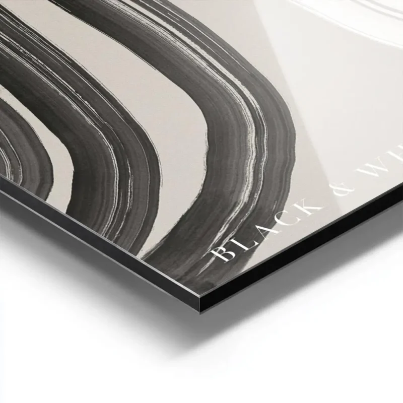 affiche abstraite noir et blanc avec des formes epaisses et organiques sur un fo aluminium.webp